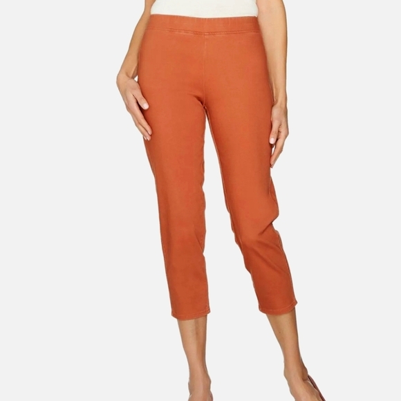 LOGO by Lori Goldstein Burnt Orange Twill Knit Stretch Pull On Crop Pant Size 4 - Picture 1 of 9